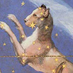 Thumbnail Canis Major